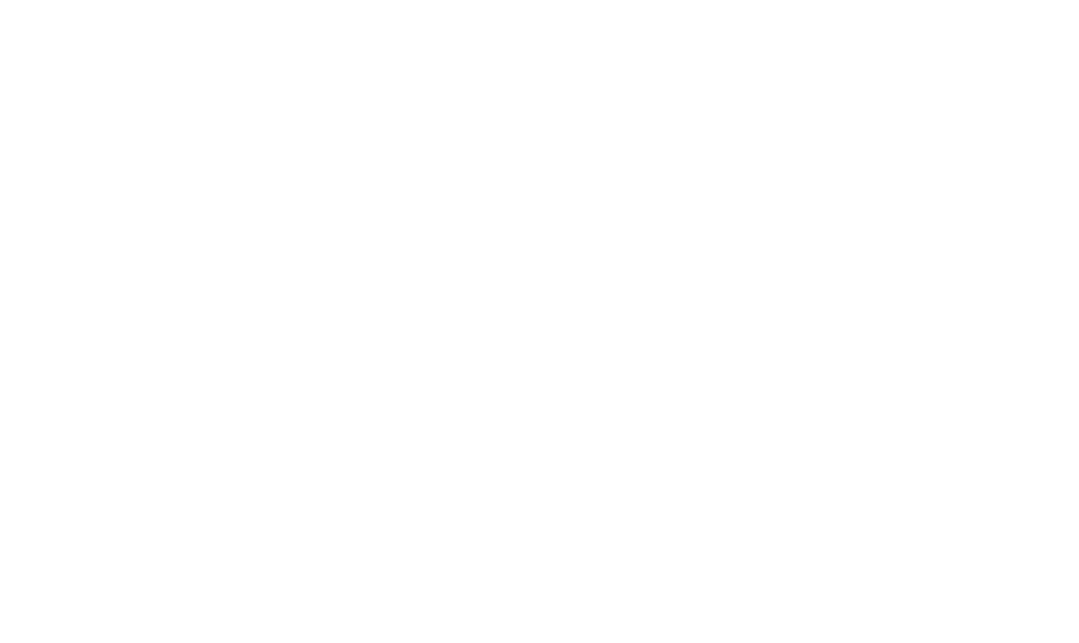 Architekt Seemann-Rietsch